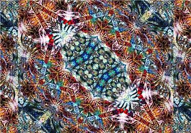 国产单机《演灭》制作人：在PS5上目标实现60帧